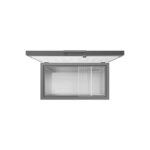 Samsung Chest Freezer RI70F29